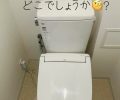 違いはどこでしょうか🤔🚽？